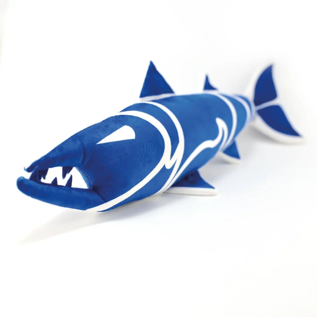 BARRACUDA M7C 1 scaled.webp